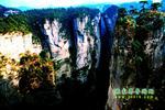 【純玩拼團(tuán)線路6】張家界、黃龍洞、天門山、天子山三晚四日游